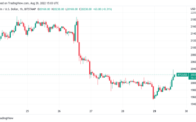 Bitcoin reaches ‘short squeeze’ trigger zone as BTC price nears $20.4K