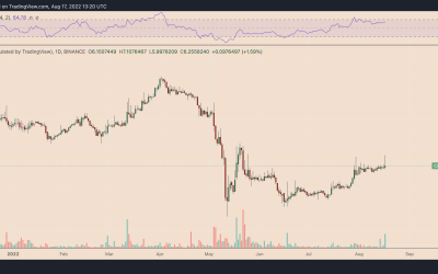 Fake Manchester United token soars 3,000% after Elon Musk jokes about buying team