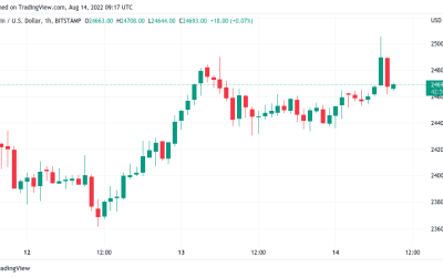 Bitcoin hits $25K as bearish voices call BTC price ‘double top’