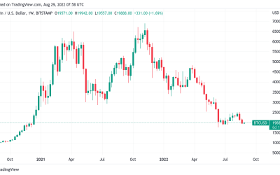 US dollar hits new 20-year high — 5 things to know in Bitcoin this week