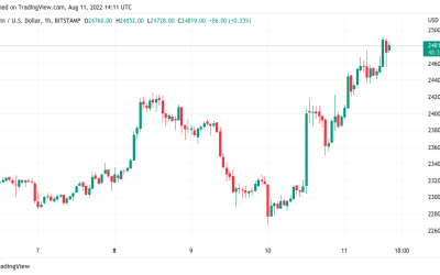 BlackRock Bitcoin fund launch sends BTC price towards $25K