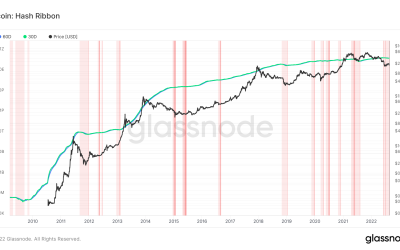 3 reasons why the Bitcoin price bottom is not in