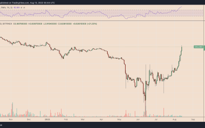 Celsius Network is bankrupt, so why is CEL price up 4,000% in two months?