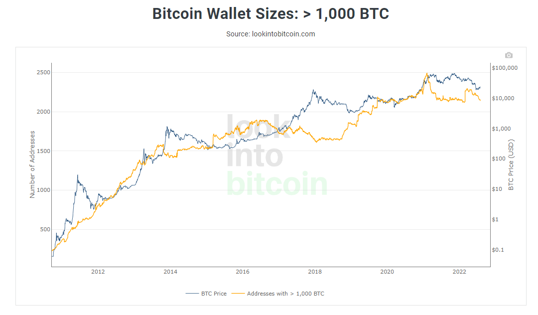 BTC wholecoiners up by 40K since June crash began