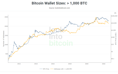 BTC wholecoiners up by 40K since June crash began