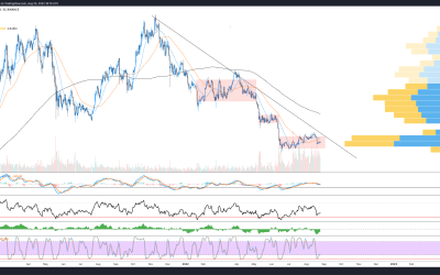 Wen moon? Probably not soon: Why Bitcoin traders should make friends with the trend