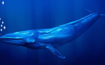 Spending $276M in Ether — Colossal Ethereum Whale That Participated in the Genesis ICO Transfers 145,000 ETH