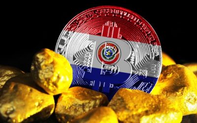 National Power Administration Will Propose a Special Cryptocurrency Mining Fee in Paraguay