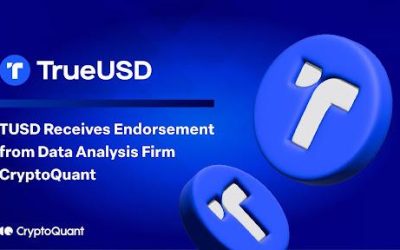 TUSD Receives Endorsement from Data Analysis Firm CryptoQuant