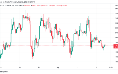 Bitcoin market dominance plumbs 4-year lows as BTC price ditches $20K