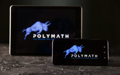 Single whale sends Polymath price skyrocketing: here’s where to buy polymath coin