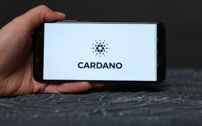 How bullish is Cardano ahead of the Vasil upgrade?