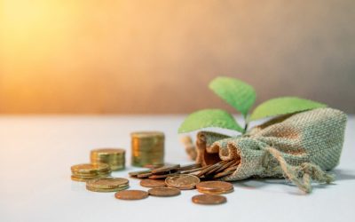 DeFi protocol Phuture launches USDC earn product