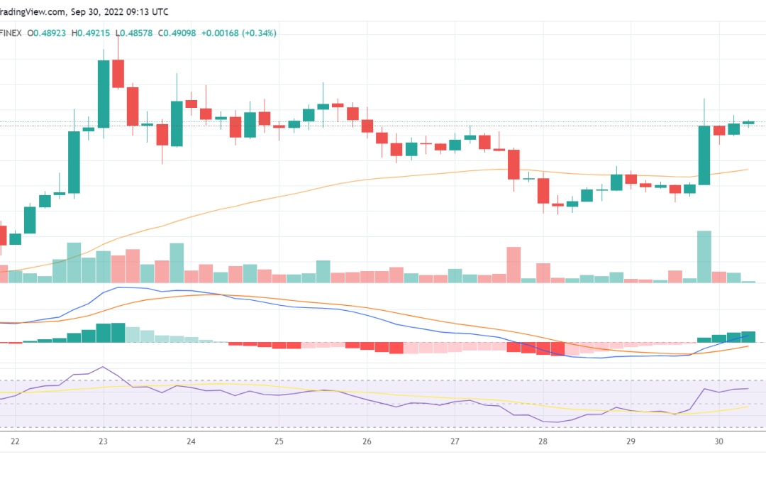 XRP soars by 11% after Ripple score a huge win in its ongoing SEC case
