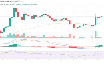 XRP soars by 11% after Ripple score a huge win in its ongoing SEC case