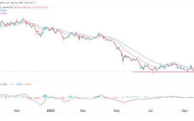 HBAR price prediction: Last chance for Hedera Hashgraph bulls