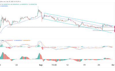 Bitgert price prediction: Is BRISE a Viable Buy in October?