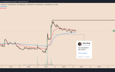 Dogecoin has crashed 75% against Bitcoin since Elon Musk’s SNL appearance