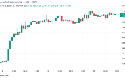 Bitcoin short squeeze ‘not over’ as BTC price eyes 17% weekly gains