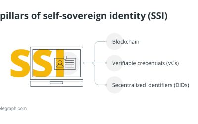 What is decentralized identity in blockchain?