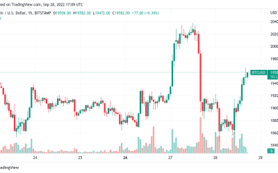 Bitcoin price charges higher, but whales line up to sell BTC at $20K