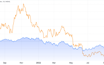 Bitcoin’s in a bear market, but there are plenty of good reasons to keep investing