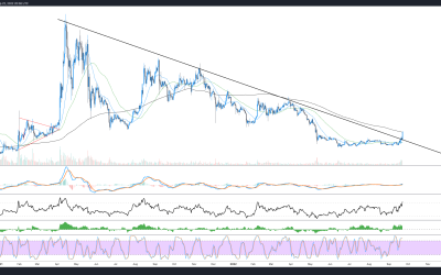 XRP price breaks out of range with a 25% rally, but why?