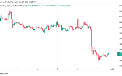 Bitcoin price hits 10-week low amid ‘painful’ US dollar rally warning