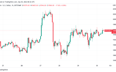 Bitcoin price due ‘big dump’ after passing $20K, warns trader