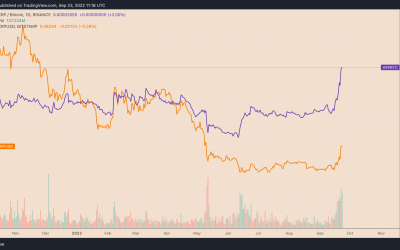 XRP hits 13-month high versus Bitcoin with 35% daily surge — But is a correction inevitable?