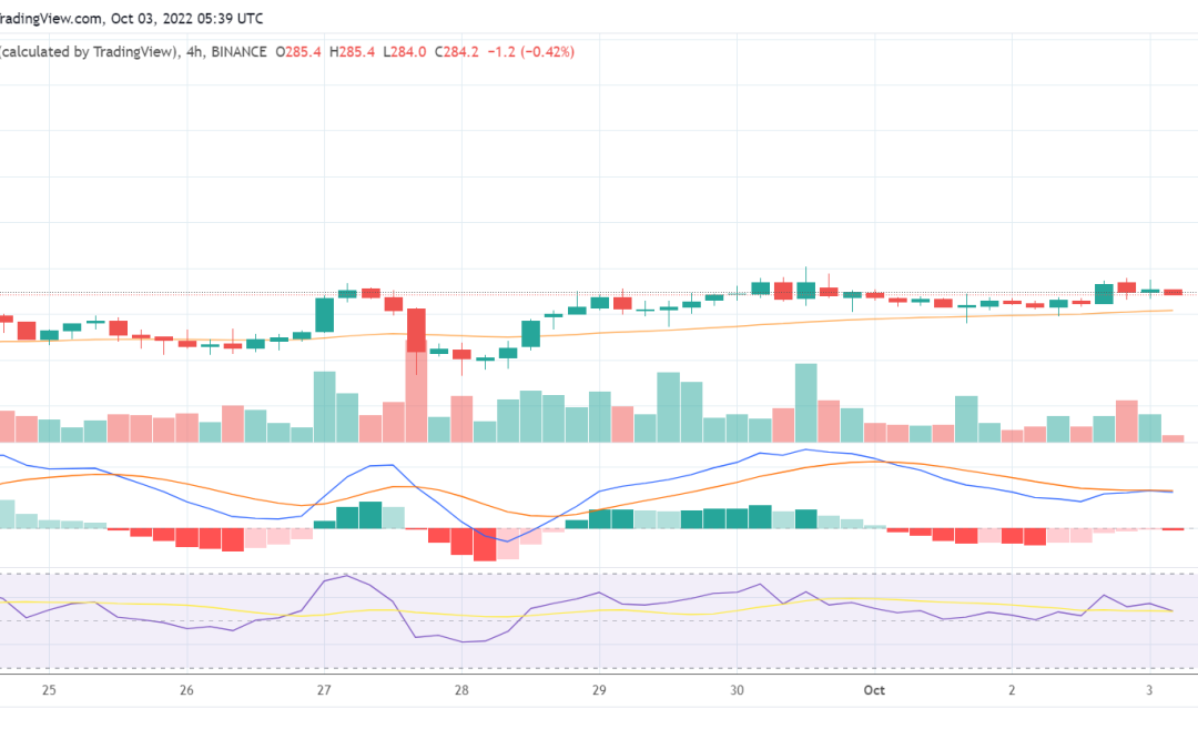 Binance gains regulatory approval in New Zealand: Will BNB soar higher soon?