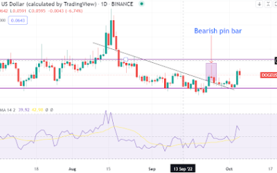 Dogecoin’s journey to $0.07 reignited as price jumps. What next?