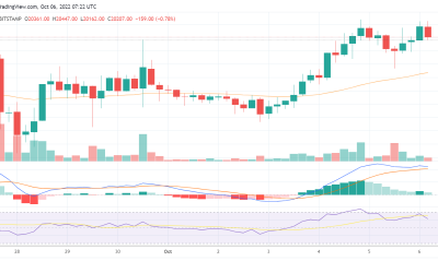 Bitcoin fails to move towards the $21,368 resistance level: Will it dip soon?