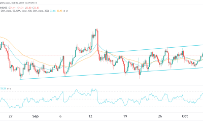 Solana price has crashed by 75% in 2022: what next?