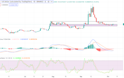 Can Ravencoin sustain momentum after 5% gains?