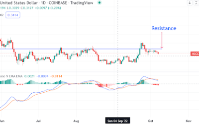 Algorand touted as a crypto to watch in the next bull cycle, but how attractive is it?