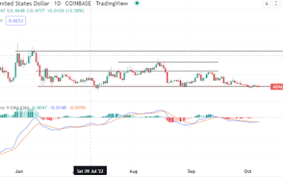 Where will the next Cardano bull run come from? Analyst answers