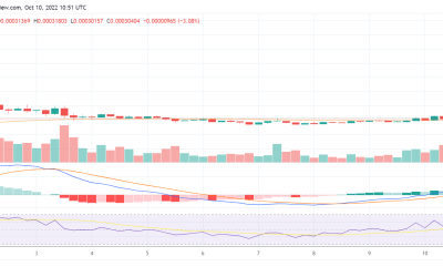 Why is Terra Classic’s LUNC outperforming the other top 50 cryptocurrencies today?