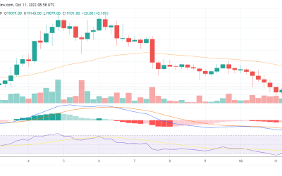 Bitcoin risks dropping below $19k soon: Can the bulls defend this psychological level?