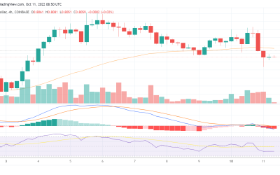 Will MATIC break out after Polygon announces its Polygon zkEVM Public Testnet?