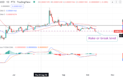 Shiba Inu slides 9% to find support. What are the odds of a reversal?