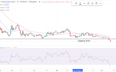 Cardano relinquishes support to a fresh new low. What’s the outlook?