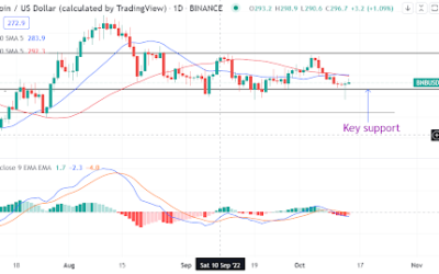 BNB defends $267 support. Should you buy it?