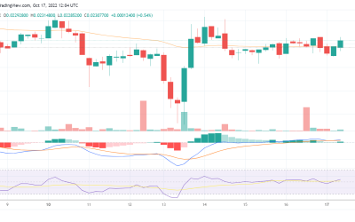 VeChain price above $0.023: Where next for VET?