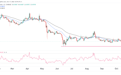 Should you buy Dogecoin?