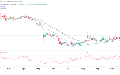 Is Injective Protocol (INJ) cheap ahead of Project X Launch?