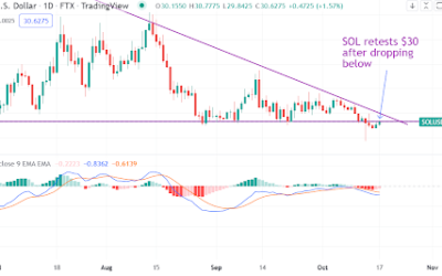 Is Solana about to slide further, or a bullish reversal is imminent?