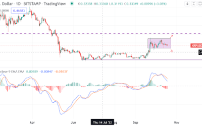 Ripple’s XRP price maintains a choppy movement. What’s going on?