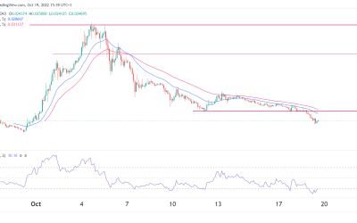 Tamadoge price prediction: Will TAMA come back to life?