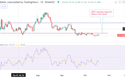 Have bears hit bottom for Polkadot?